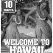 Welcome To Hawaii 